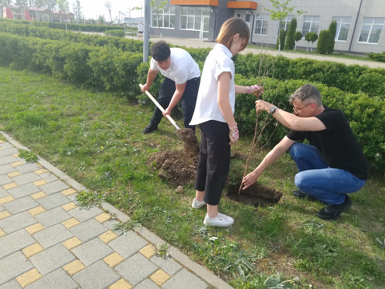 Высадка деревьев в рамках Всероссийской акции «Сад Памяти».
